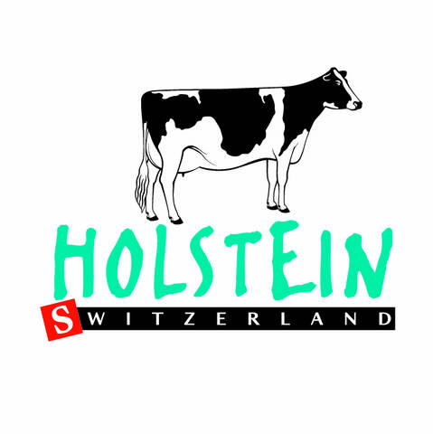 Holstein Switzerland